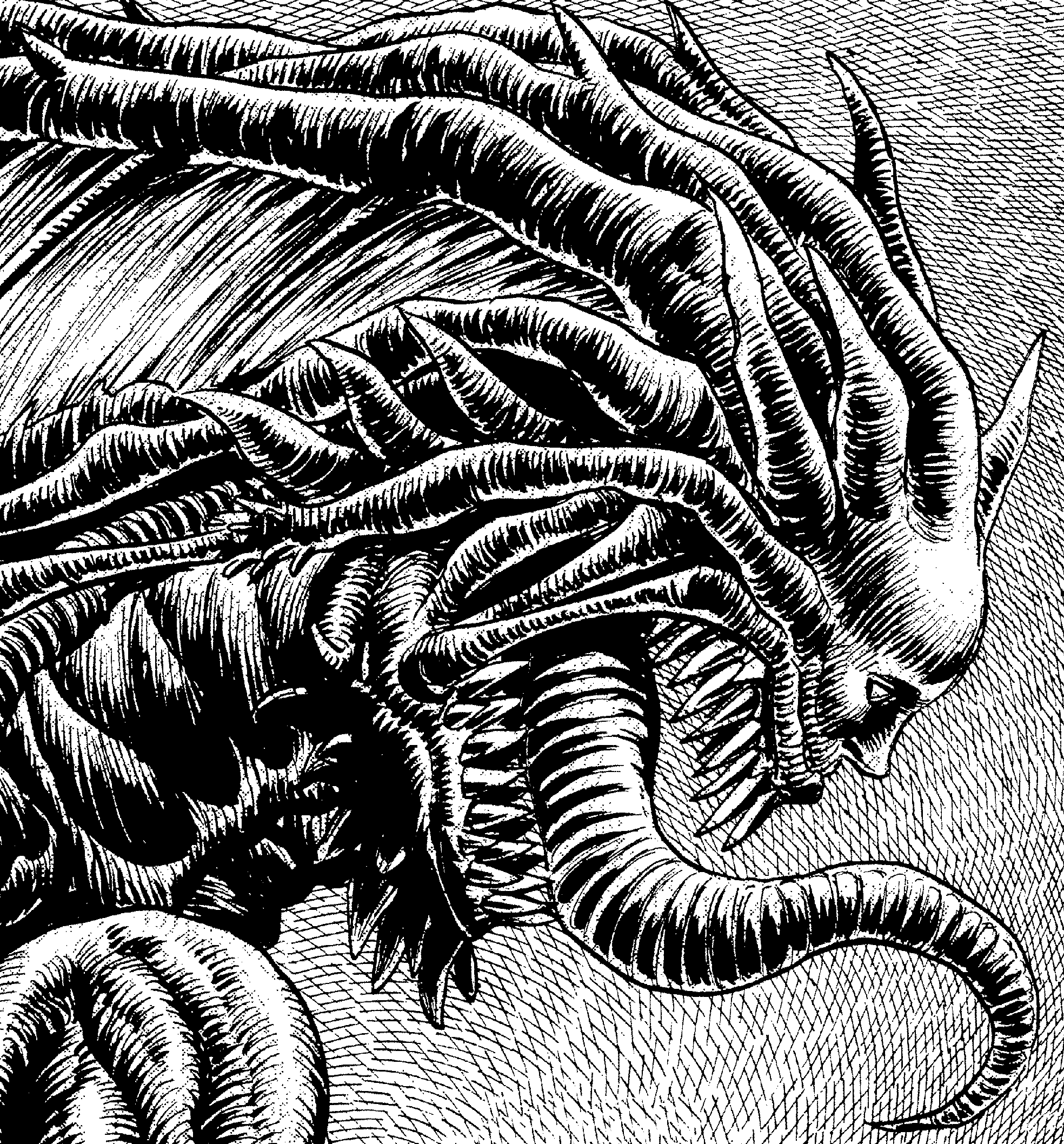 Женщина-апостол